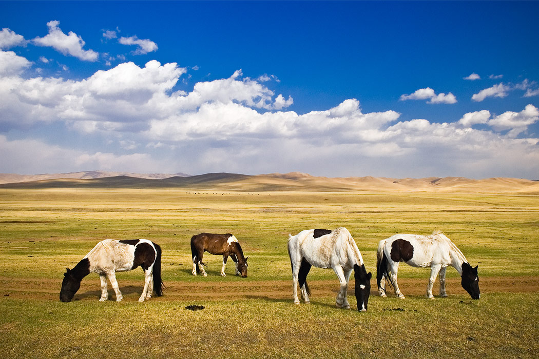 Places_48.jpg